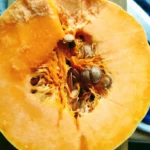 Dynia w wiosennej kuchni