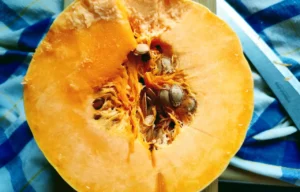 Dynia w wiosennej kuchni