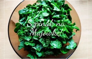 Szpinak na Majówkę